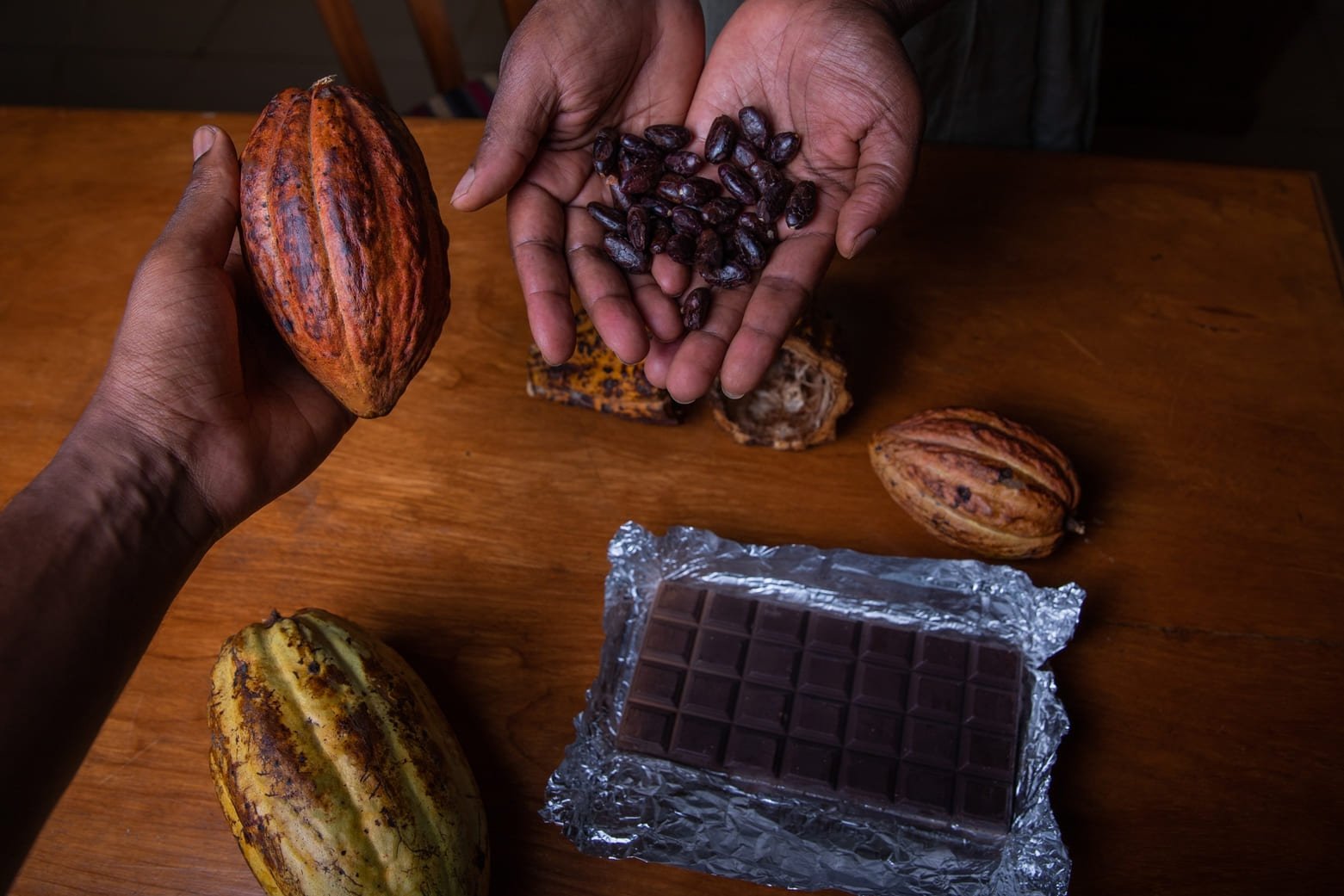 Heavy Rains Raise Fresh Concerns for Ghana's Cocoa Harvest heavy rains raise fresh concerns for ghana's cocoa harvest