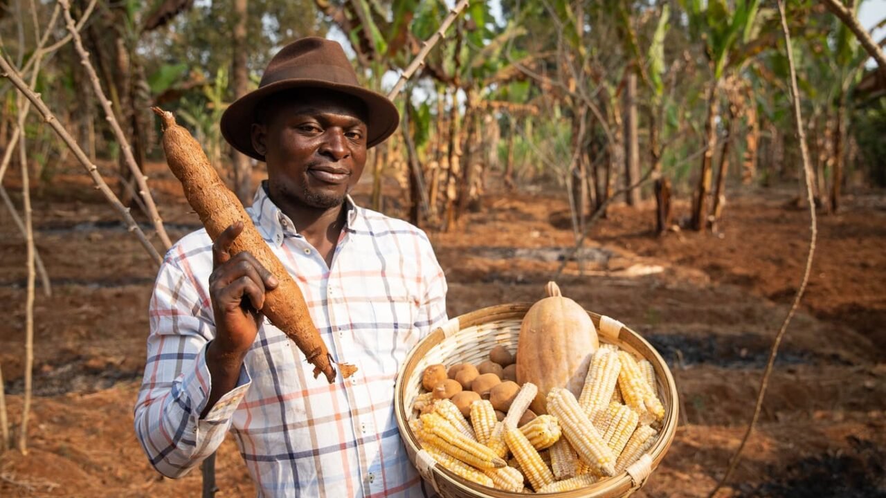 Nigeria Launches US$500 Million Agriculture Fund to Boost Food Security and Private Investment
