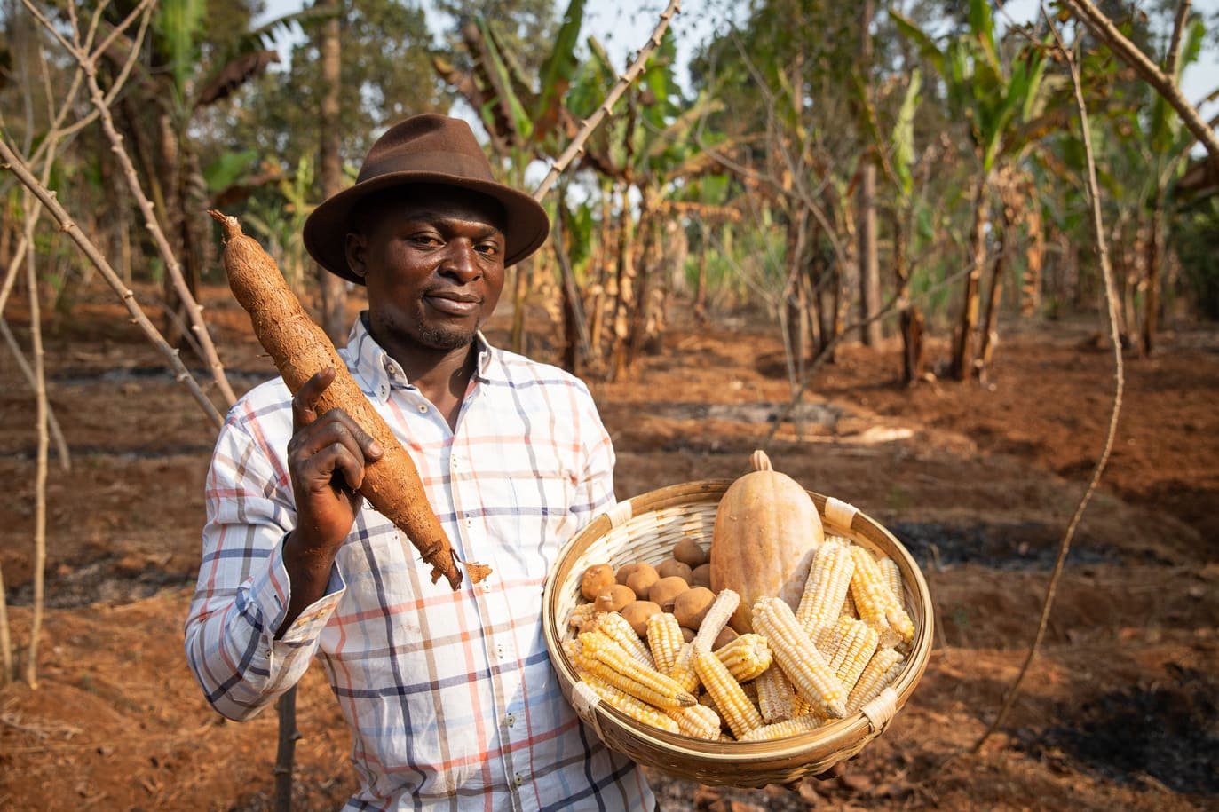 Nigeria Launches US$500 Million Agriculture Fund to Boost Food Security and Private Investment nigeria launches us$500 million agriculture fund to boost food security and private investment