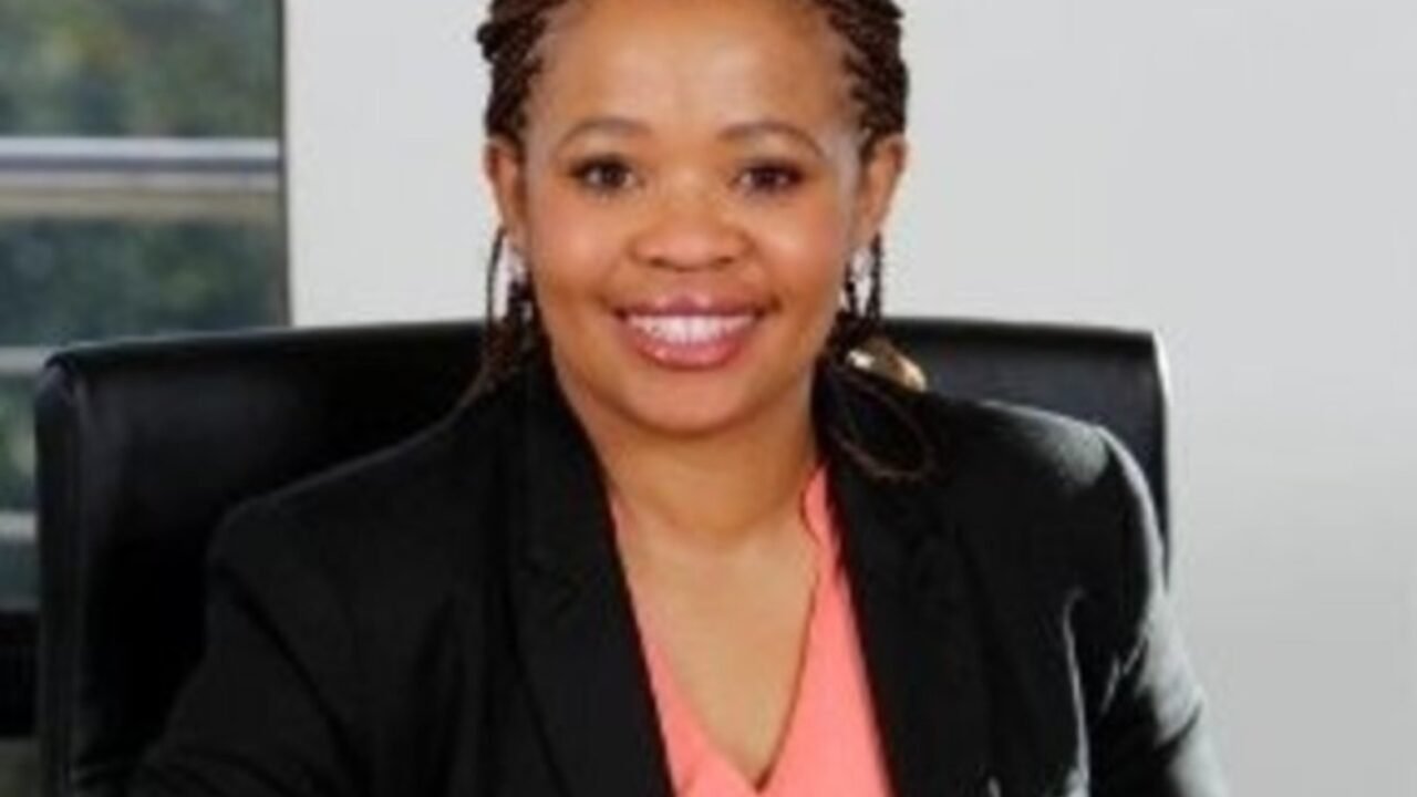 South Africa’s Public Investment Corporation Appoints Interim CEO as Governance Investigation Deepens